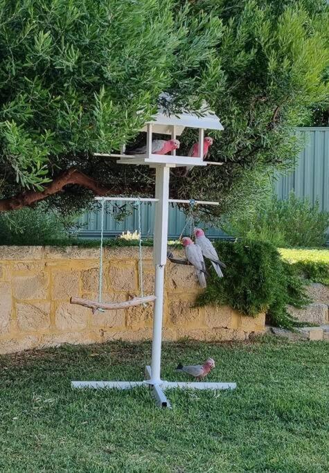 Shabby Chic Shack - 2 Bedroom Beach Cottage Yanchep Esterno foto